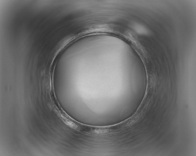 X0000084021274200702161218