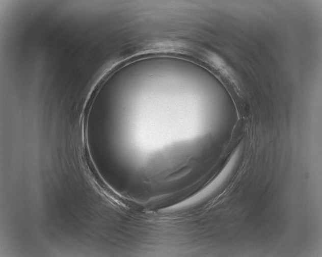 X0000084021275200702161218