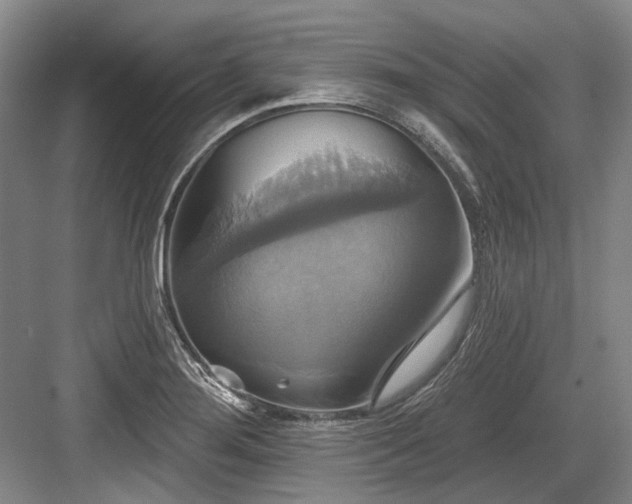 X0000084021276200702161218