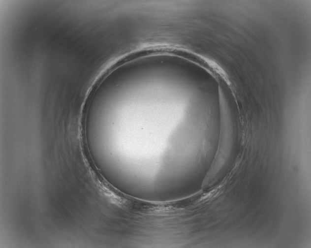 X0000084021279200702161218