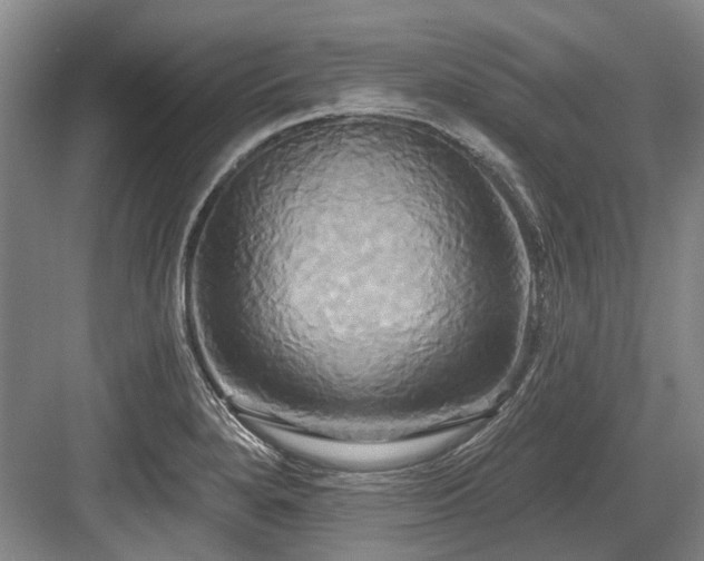 X0000084021280200702161218