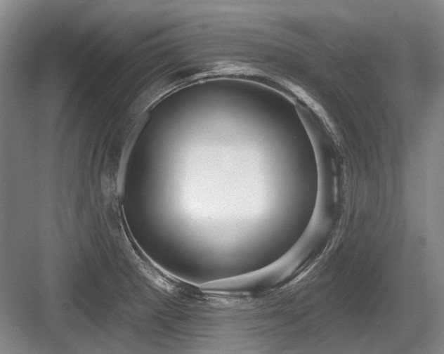 X0000084021281200702161218