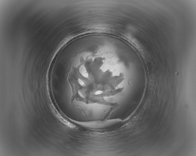 X0000084021283200702161218