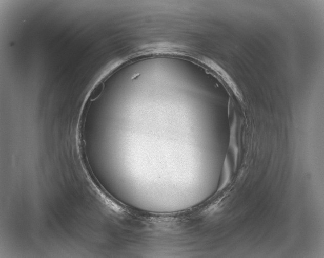 X0000084021285200702161218