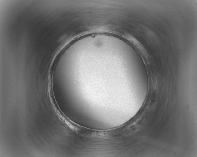 X0000084021286200702161218