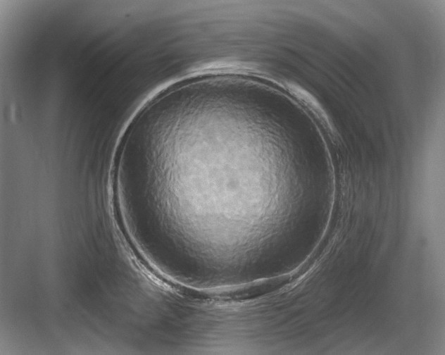X0000084021288200702161218