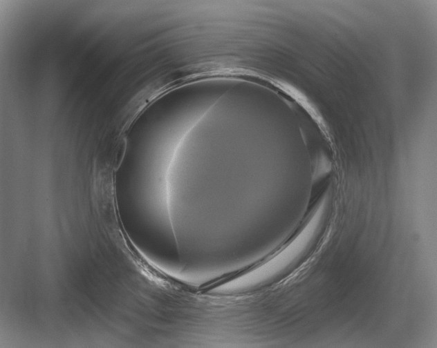 X0000084021289200702161218