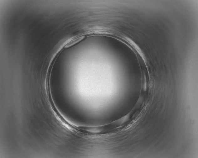 X0000084021293200702161218
