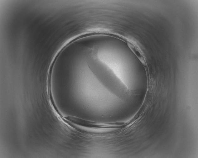 X0000084021295200702161218