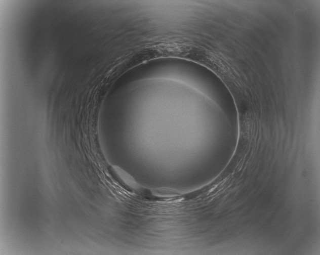 X0000084021297200702161217