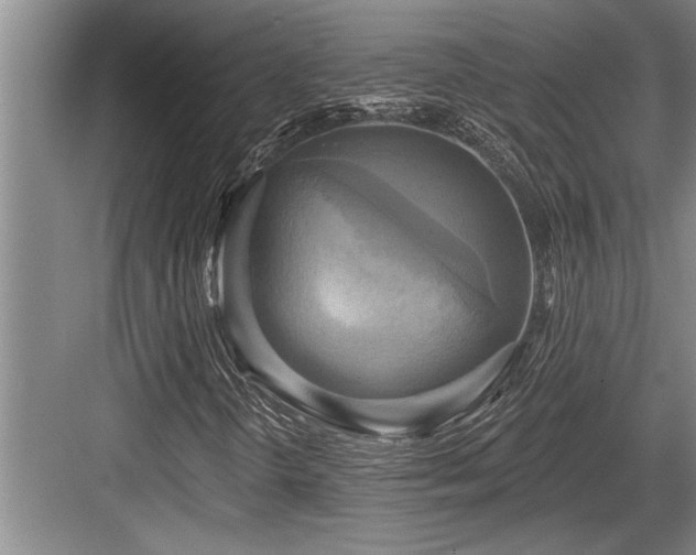 X0000084021298200702161217