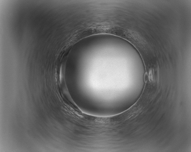 X0000084021299200702161217