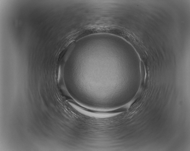 X0000084021300200702161217
