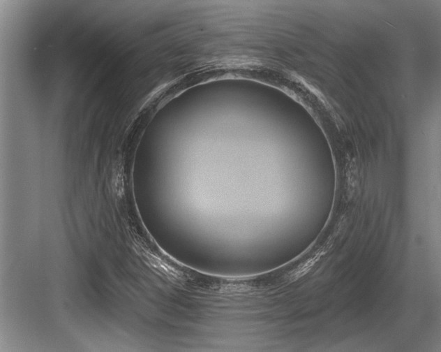 X0000084021306200702161217