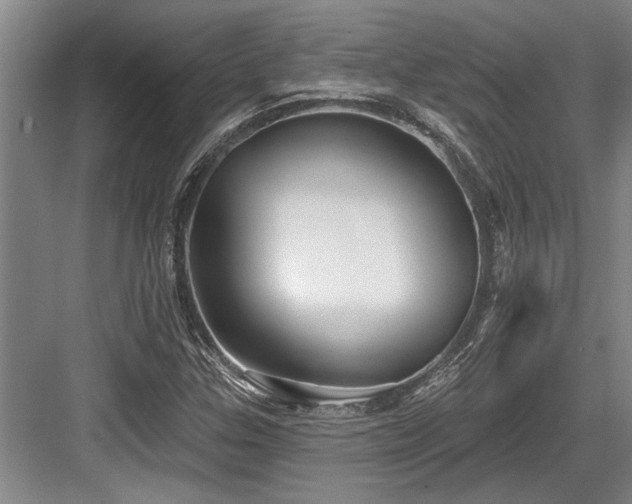X0000084021307200702161217