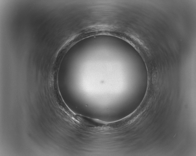 X0000084021309200702161217