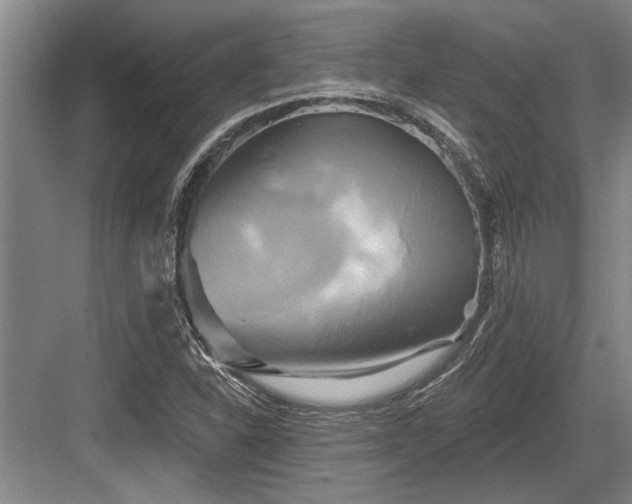 X0000084021310200702161217