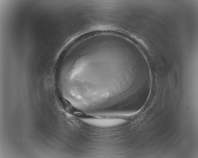 X0000084021311200702161217