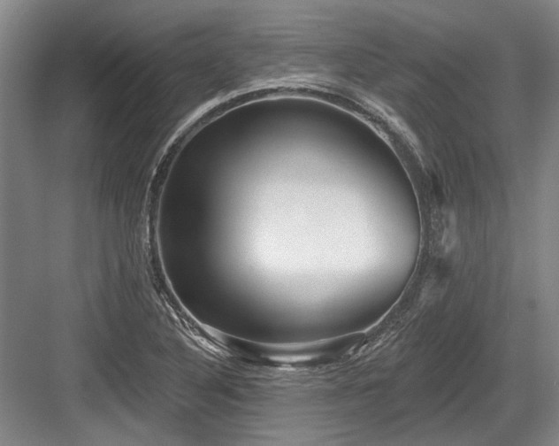X0000084021316200702161217