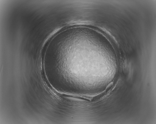X0000084021317200702161217
