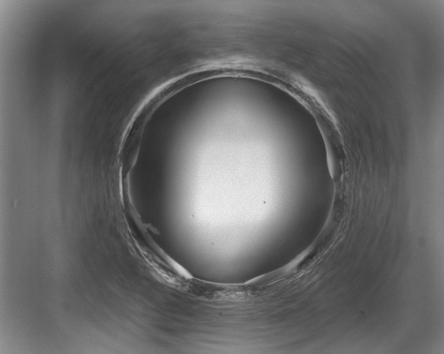 X0000084021320200702161217