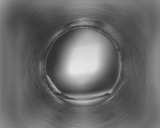 X0000084021321200702161217