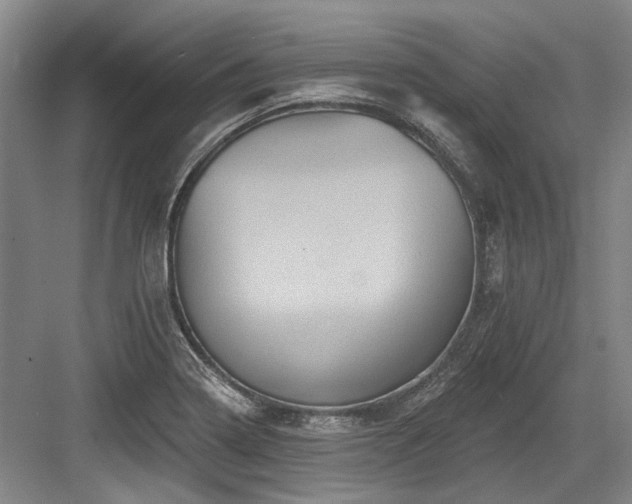 X0000084021322200702161217