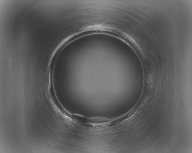 X0000084021323200702161217