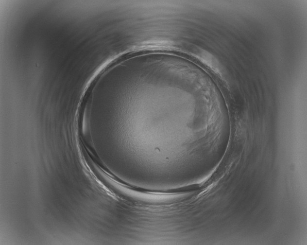 X0000084021325200702161217