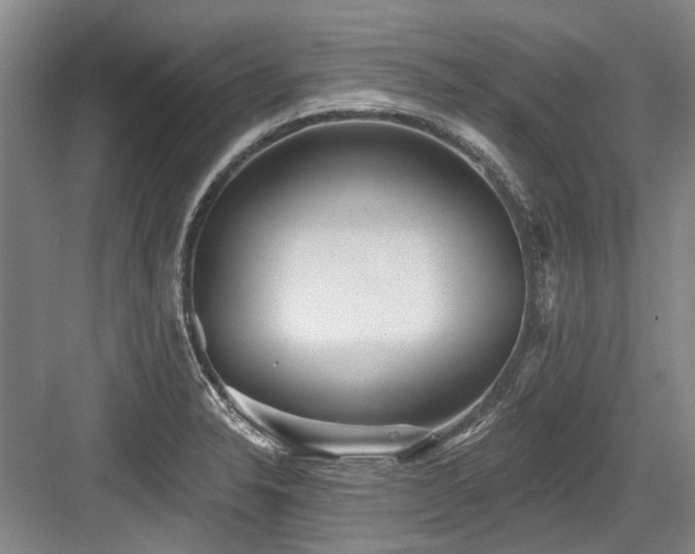 X0000084021326200702161217