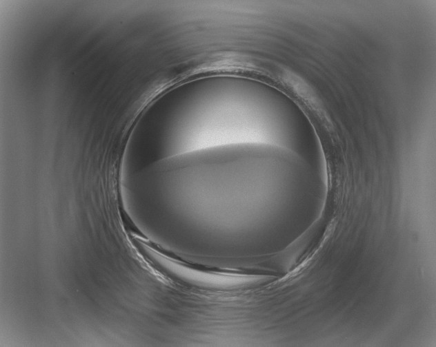 X0000084021329200702161217