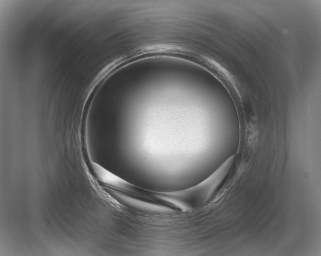 X0000084021330200702161217