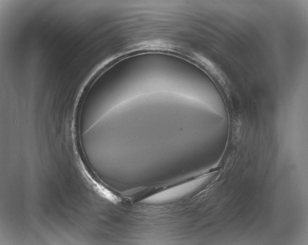 X0000084021331200702161217