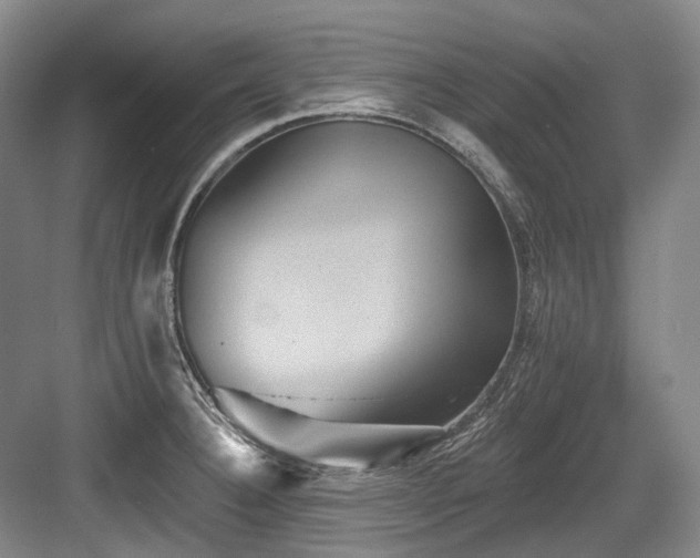 X0000084021332200702161217
