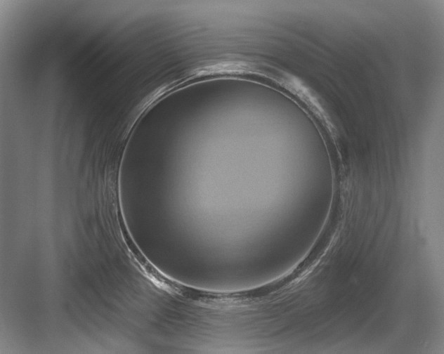 X0000084021337200702161218