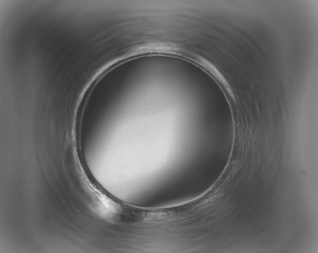 X0000084021339200702161218