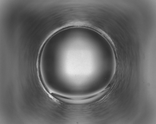 X0000084021343200702161218