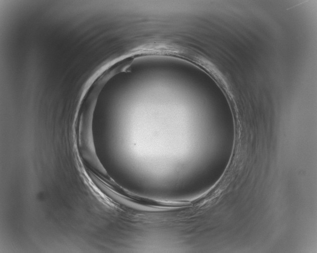 X0000084021344200702161218