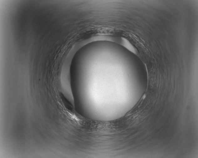 X0000084021345200702161217