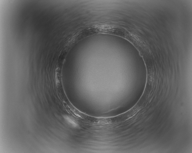 X0000084021346200702161217