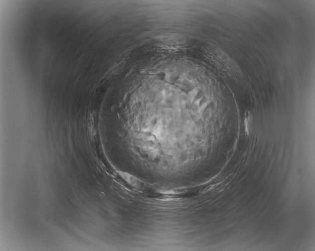X0000084021347200702161217