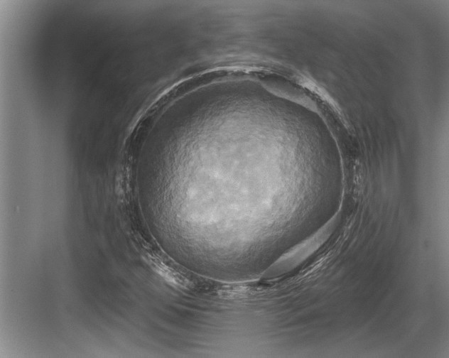 X0000084021352200702161217