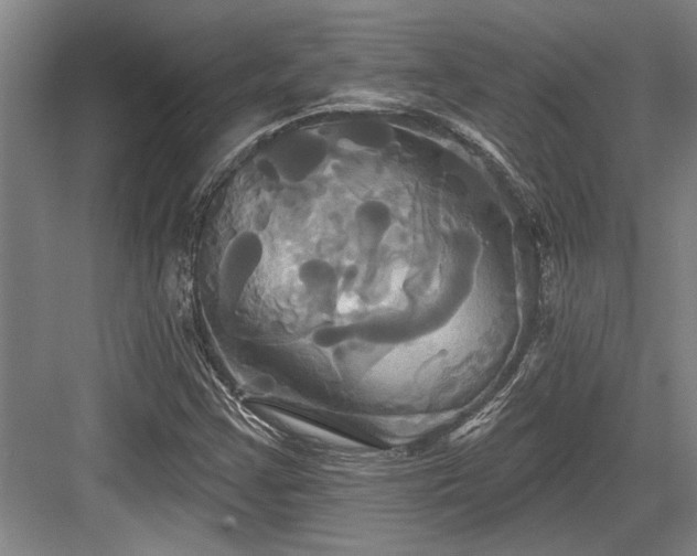 X0000084021355200702161217