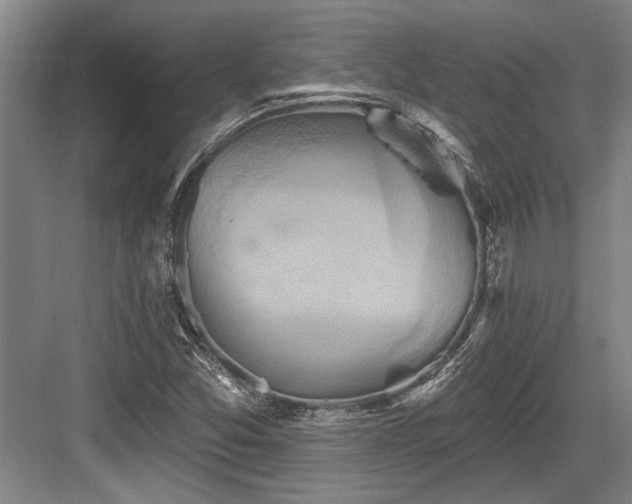X0000084021357200702161217