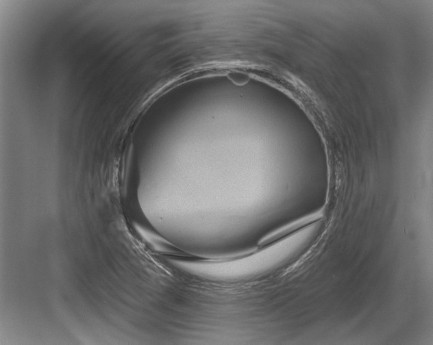 X0000084021361200702161217