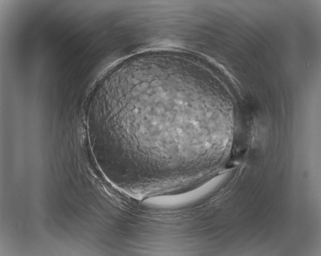 X0000084021363200702161217