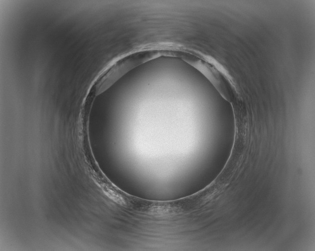 X0000084021364200702161217