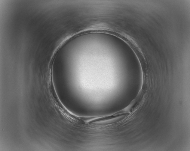 X0000084021366200702161217
