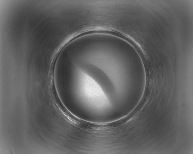 X0000084021367200702161217