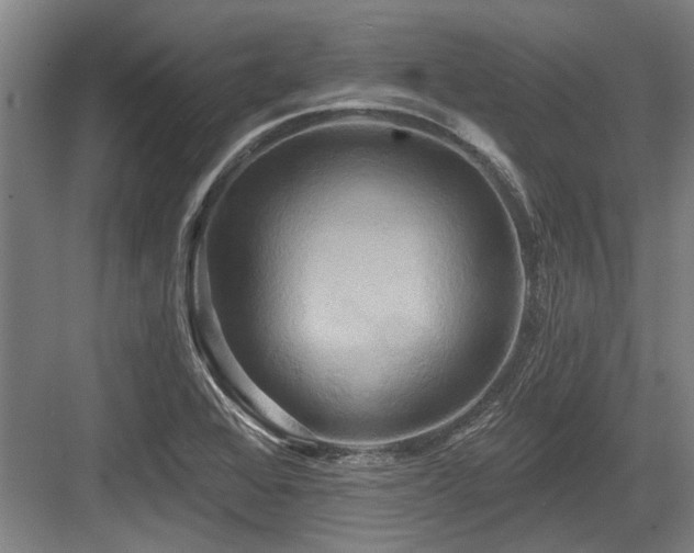 X0000084021368200702161217